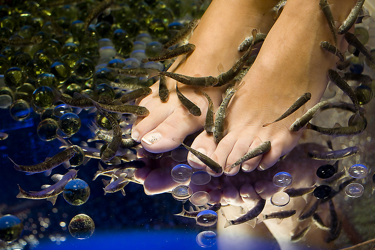 garra-fish-spa-1 garra-fish-spa-1