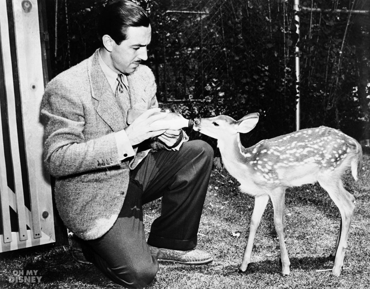 Walt-Disney-Feeds-Baby-Deer-on-Bambi-1200x937