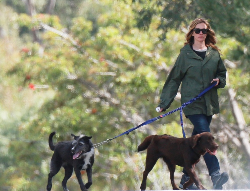 julia-roberts-takes-her-dogs-for-a-walk-in-malibu-01