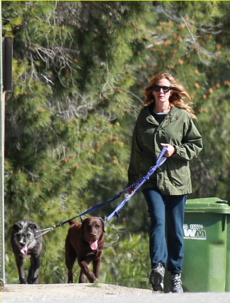 julia-roberts-takes-her-dogs-for-a-walk-in-malibu-02