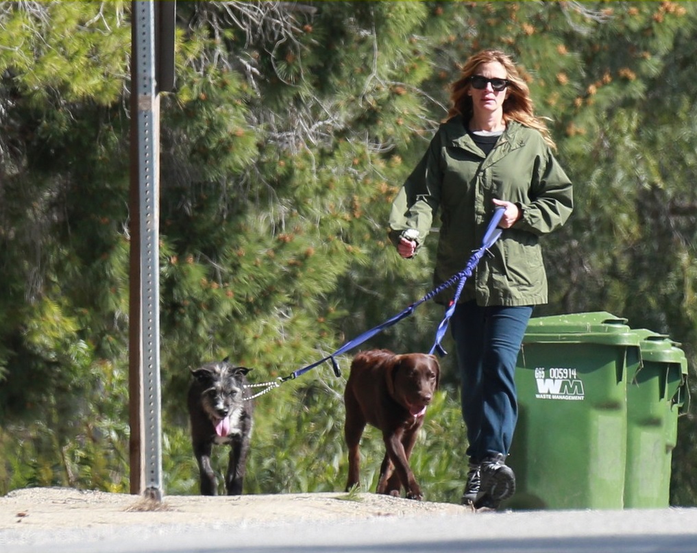 julia-roberts-takes-her-dogs-for-a-walk-in-malibu-03