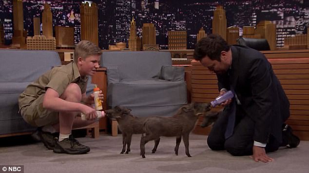 جيمي فالون يطعم صغار الخنازير