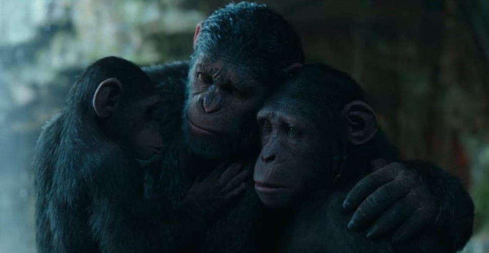 فيلم   the Planet of the Apes..