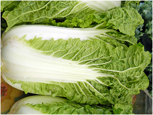Chinese-Cabbage