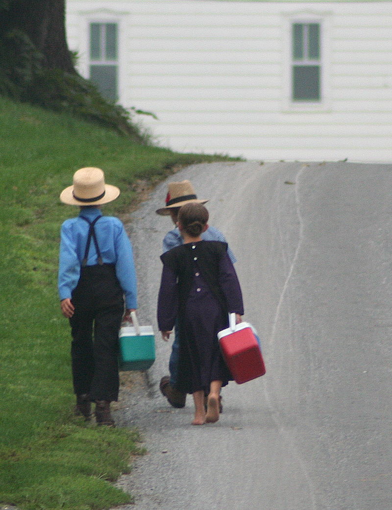 800px-Amish_On_the_way_to_school_by_Gadjoboy2