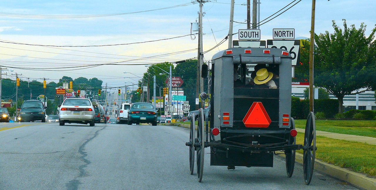 1280px-Traditional_Amish_buggy