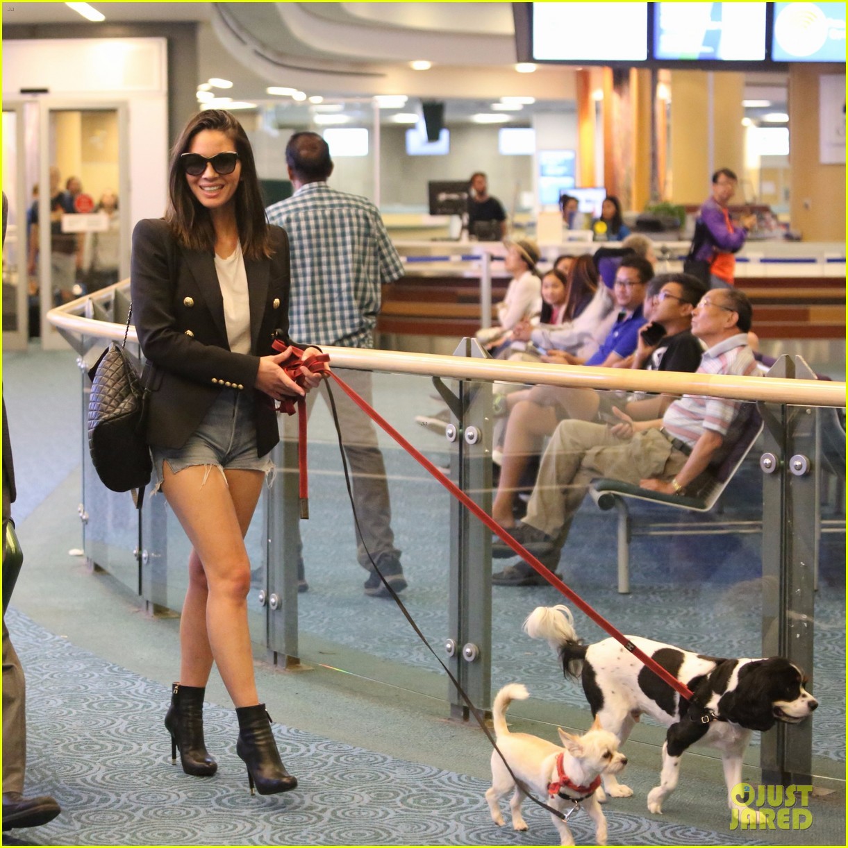 olivia-munn-and-her-pups-arrive-in-vancouver-for-six-filming-05