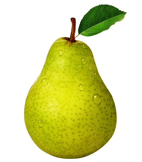 Pear (agri-science-reference.blogspot.com)