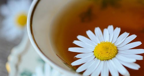 chamomile-tea