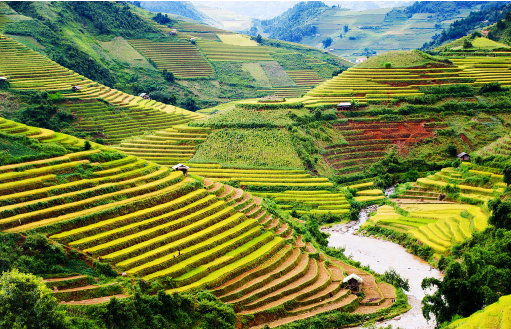 مصاطب الأرز فى فيتنام
