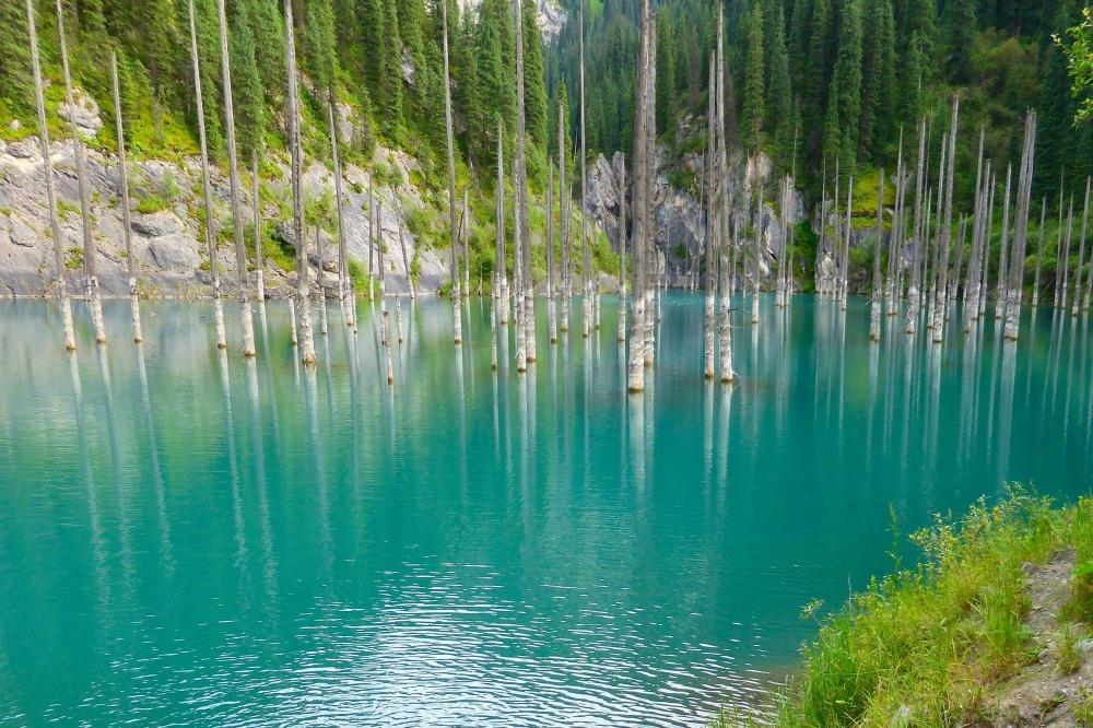 فى كازاخستان يعتبر هذا المكان من الأماكن الساحرة فى العالم بسبب منظر الأشجار فى تلك البحيرة.