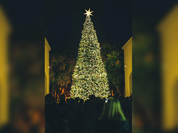 شجرة الكريسماس 1