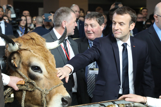 صور ماكرون يفتتح معرض الزراعة الدولى فى باريس (2)