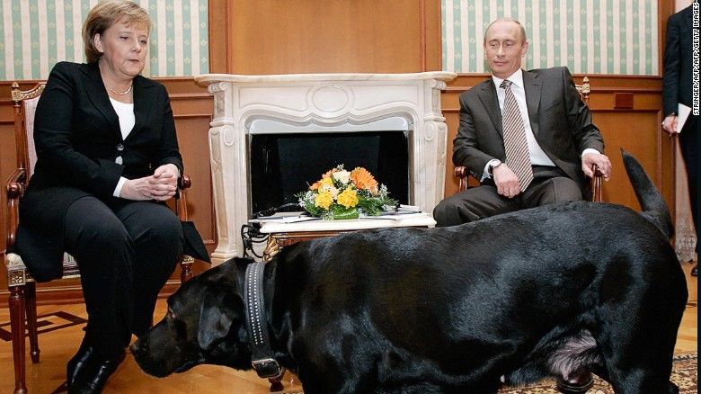 بوتين وميركل والكلب