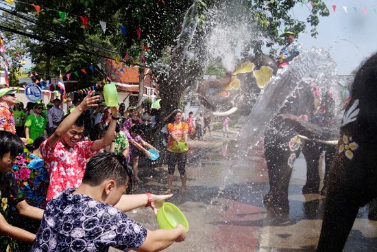 أكبر احتفال برش المياه بالأفيال بتايلاند