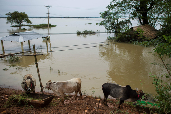نزوح 150 ألف شخص من منازلهم بسبب الفيضانات فى ميانمار (4)