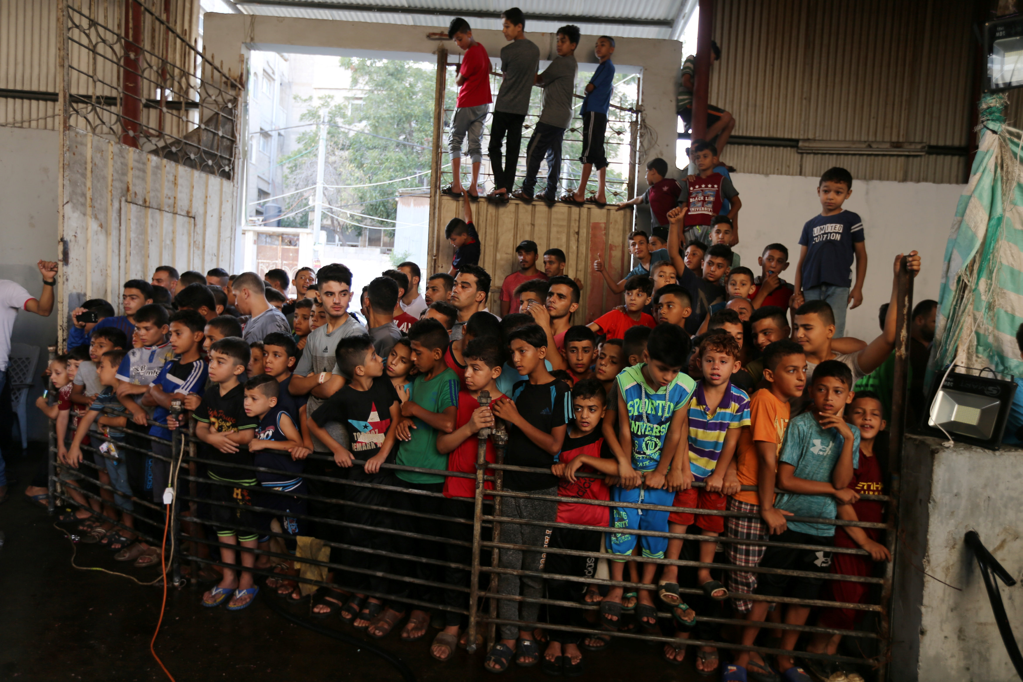 1301334-الأطفال-يجتمعون-لمشاهدة-ذبح-الأضاحى-فى-العيد-فى-فلسطين