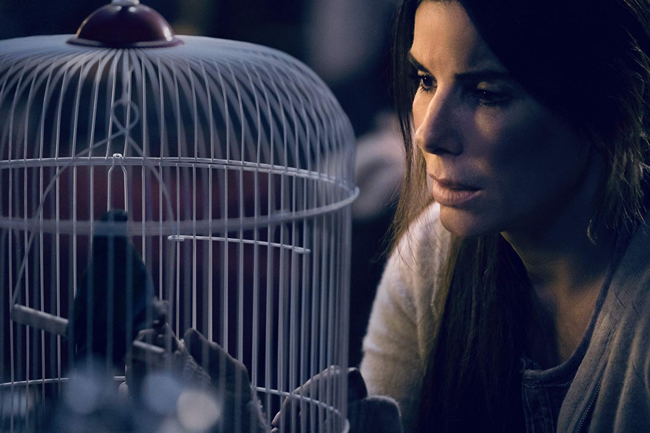 تعرف على أسباب نجاح فيلم Bird Box عالميا بالرغم من طرحه على الإنترنت فقط عين