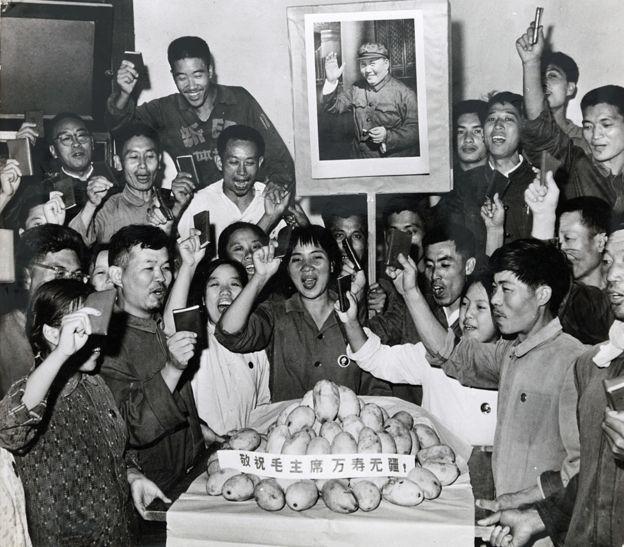 احتفالات المانجو في زمن الستينيات
