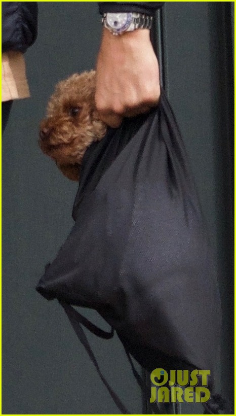 orlando-bloom-brings-dog-mighty-to-lunch-with-him-02