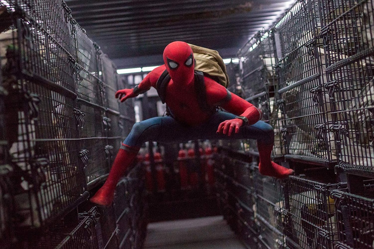 فيلم Spider man (6)