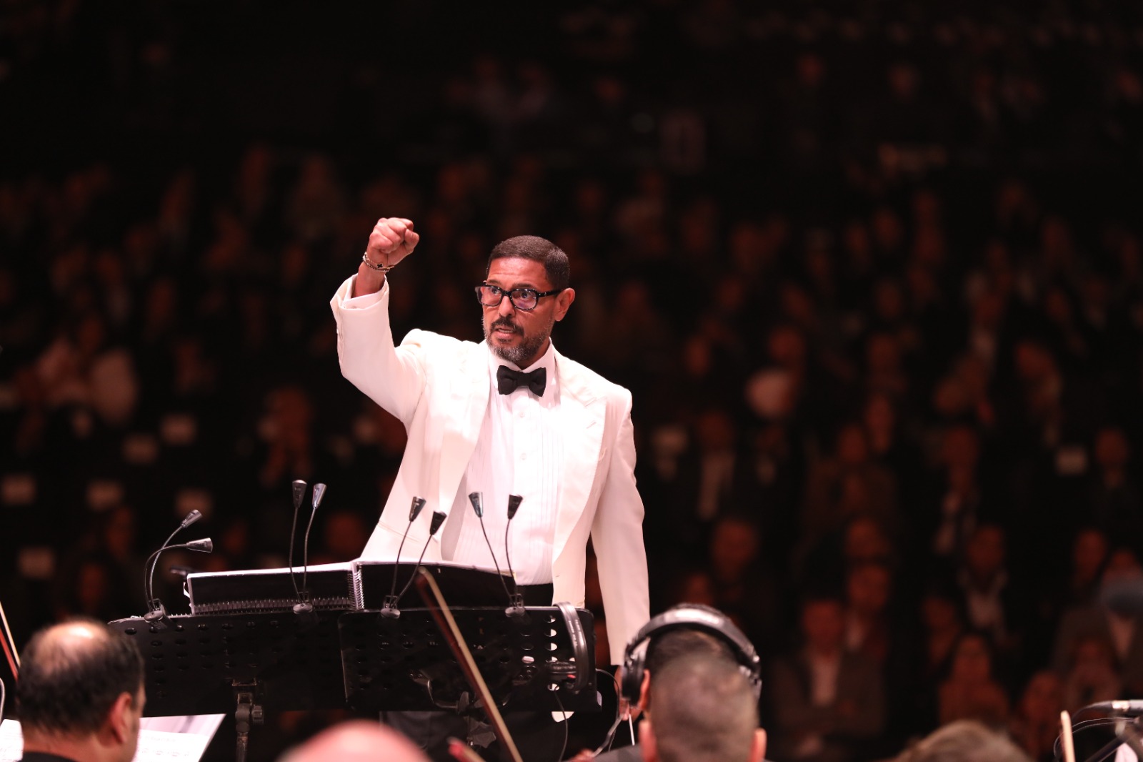 الموسيقار هاني فرحات