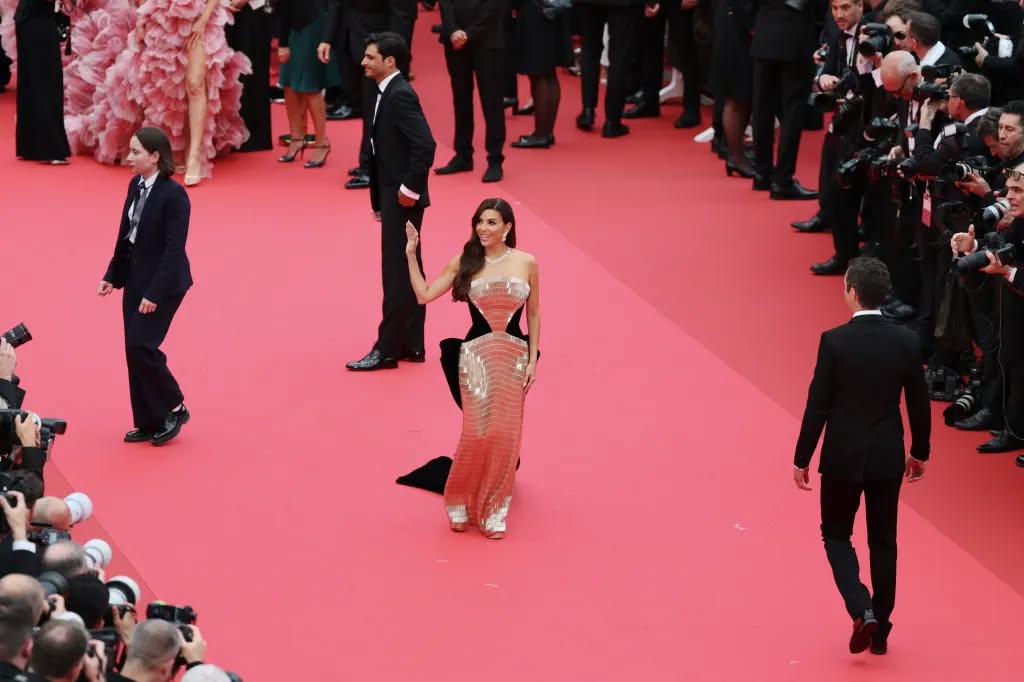 افتتاح مهرجان كان السينمائي (15)