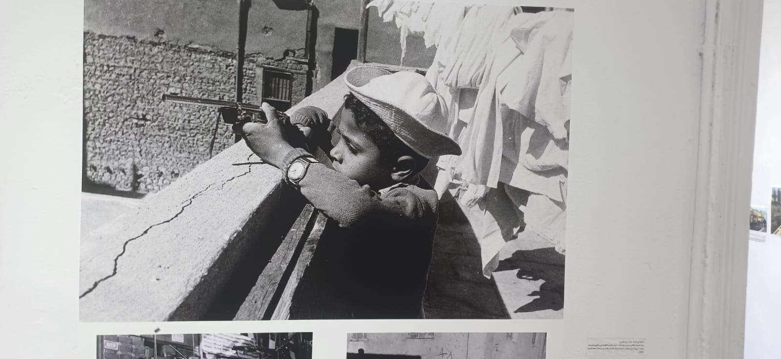 صور المعرض (6)