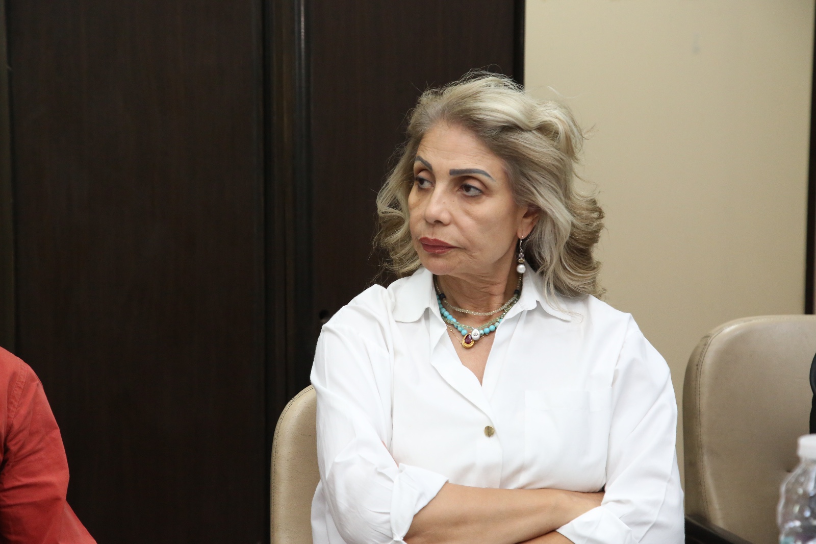 اللجنة العليا لمهرجان المسرح المصري (2)