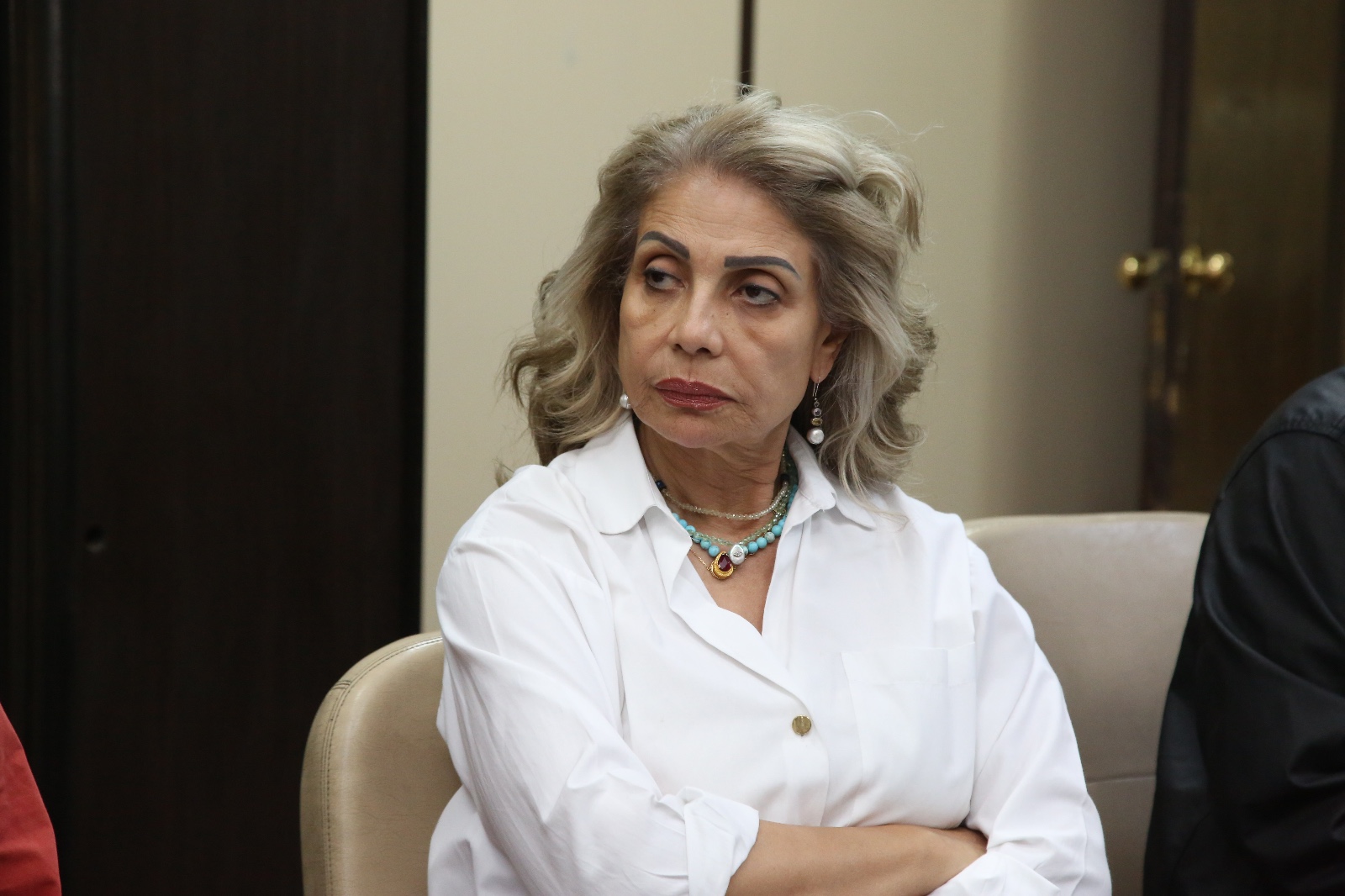 اللجنة العليا لمهرجان المسرح المصري (3)