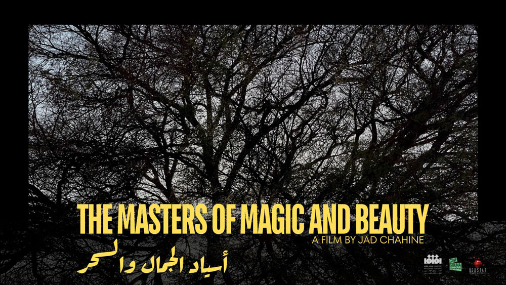 فيلم أسياد الجمال والسحر (3)