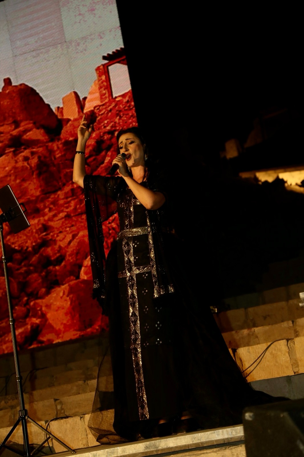 السوبرانو أميرة سليم (3)