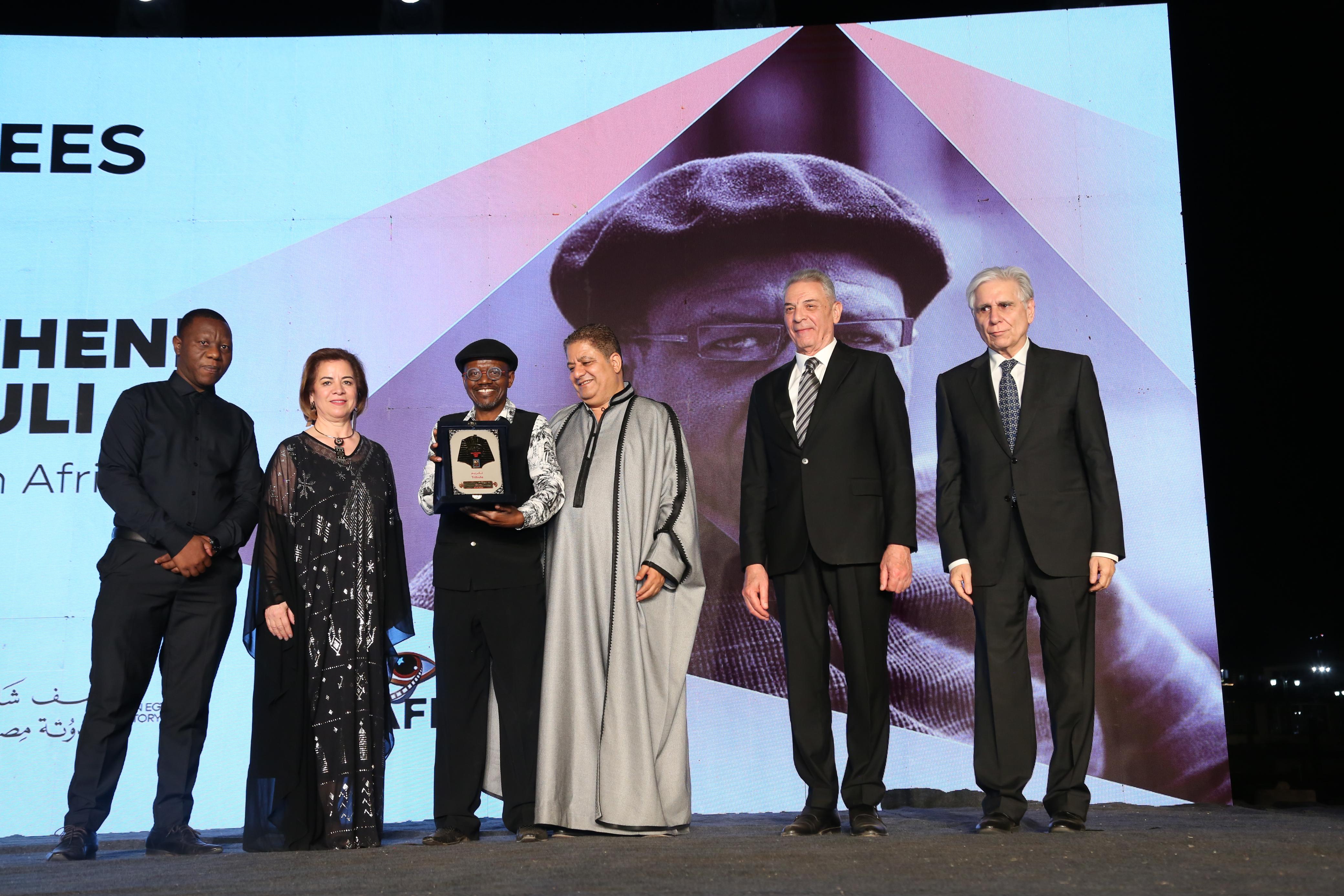 مهرجان الأقصر للسينما الأفريقية (13)