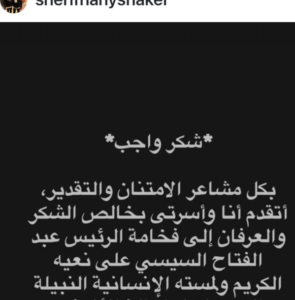 تغريدة نجل هانى شاكر