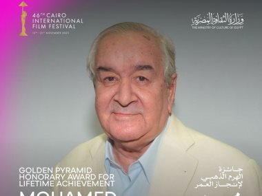 المخرج محمد عبد العزيز