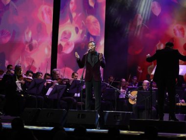 محمد الطوخي