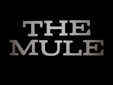 فيلم The Mule