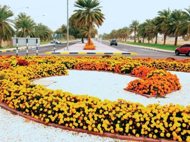 زهور مدينة العين الإماراتية