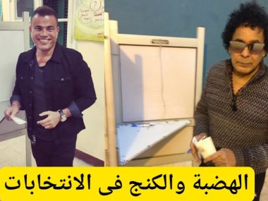 محمد منير وعمرو دياب فى الانتخابات