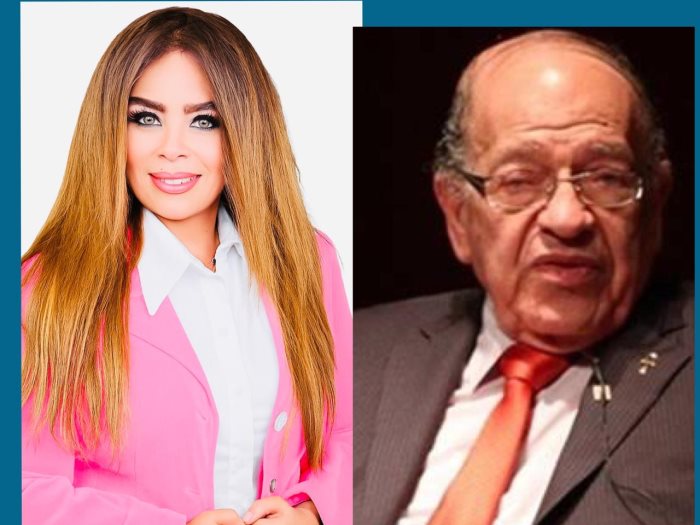 وسيم السيسي وبسنت بكر