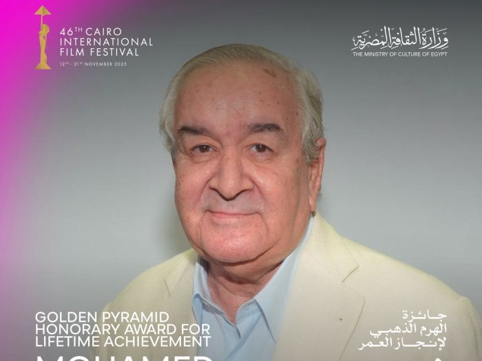 المخرج محمد عبد العزيز