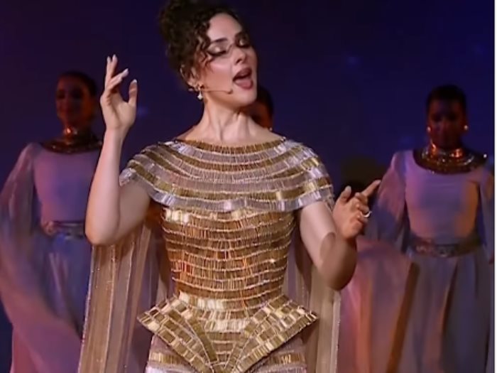 شيرين أحمد طارق