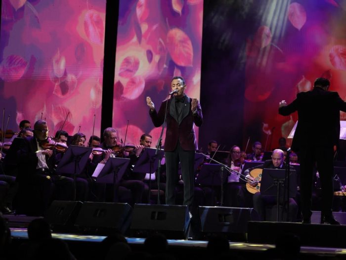 محمد الطوخي