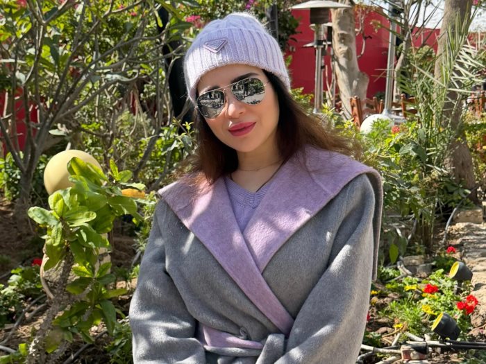 مي عز الدين