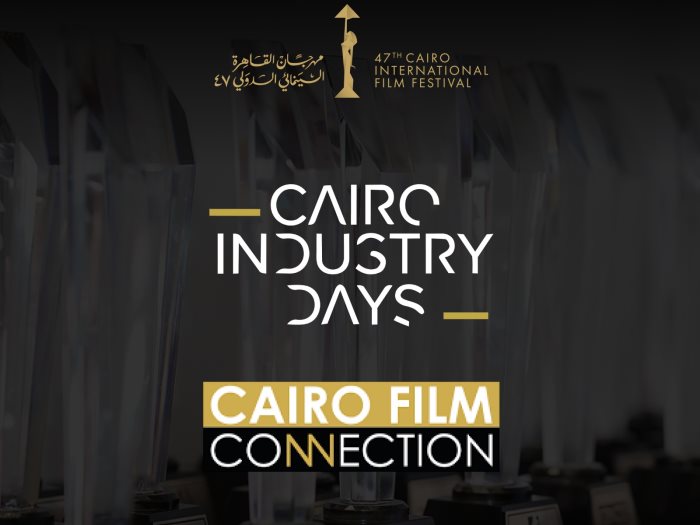 مهرجان القاهره السينمائى الدولى
