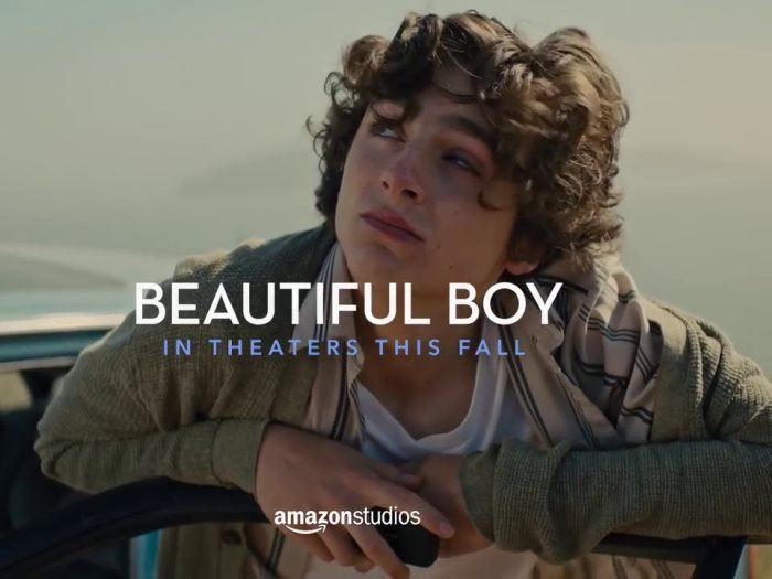 فيلم Beautiful Boy