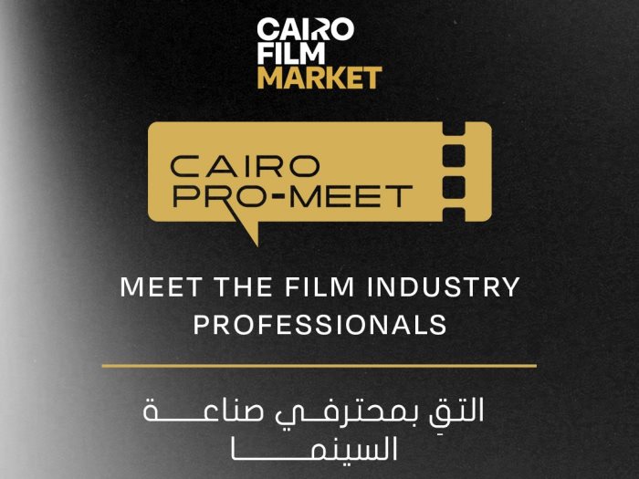 مهرجان القاهرة السينمائي الدولي