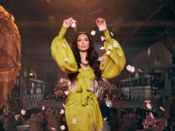 الفنانة شيماء الهلالي 