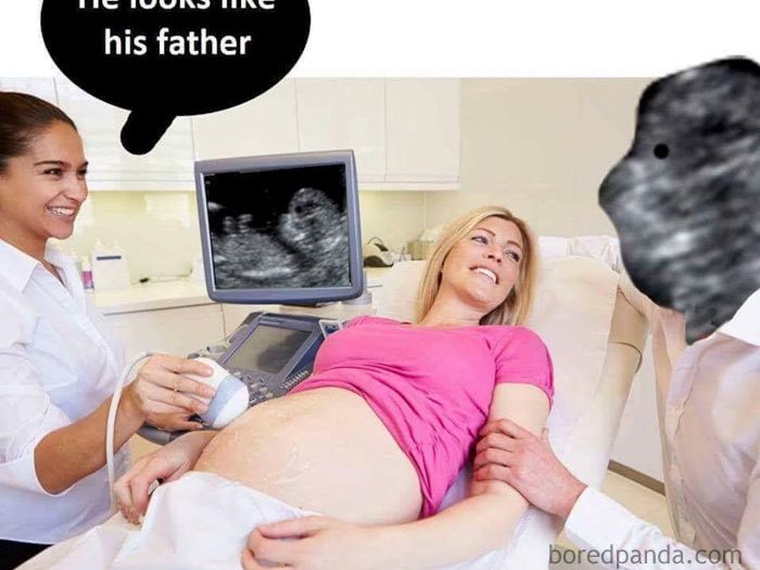 حامل
