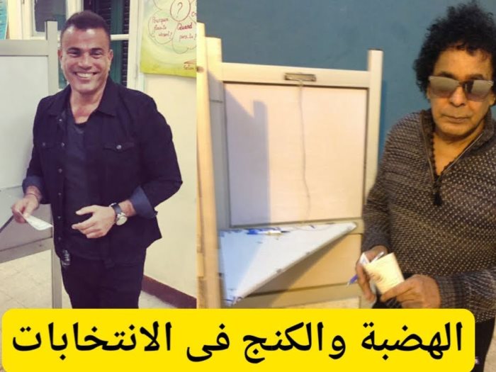 محمد منير وعمرو دياب فى الانتخابات